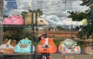 Pet Shop (8)